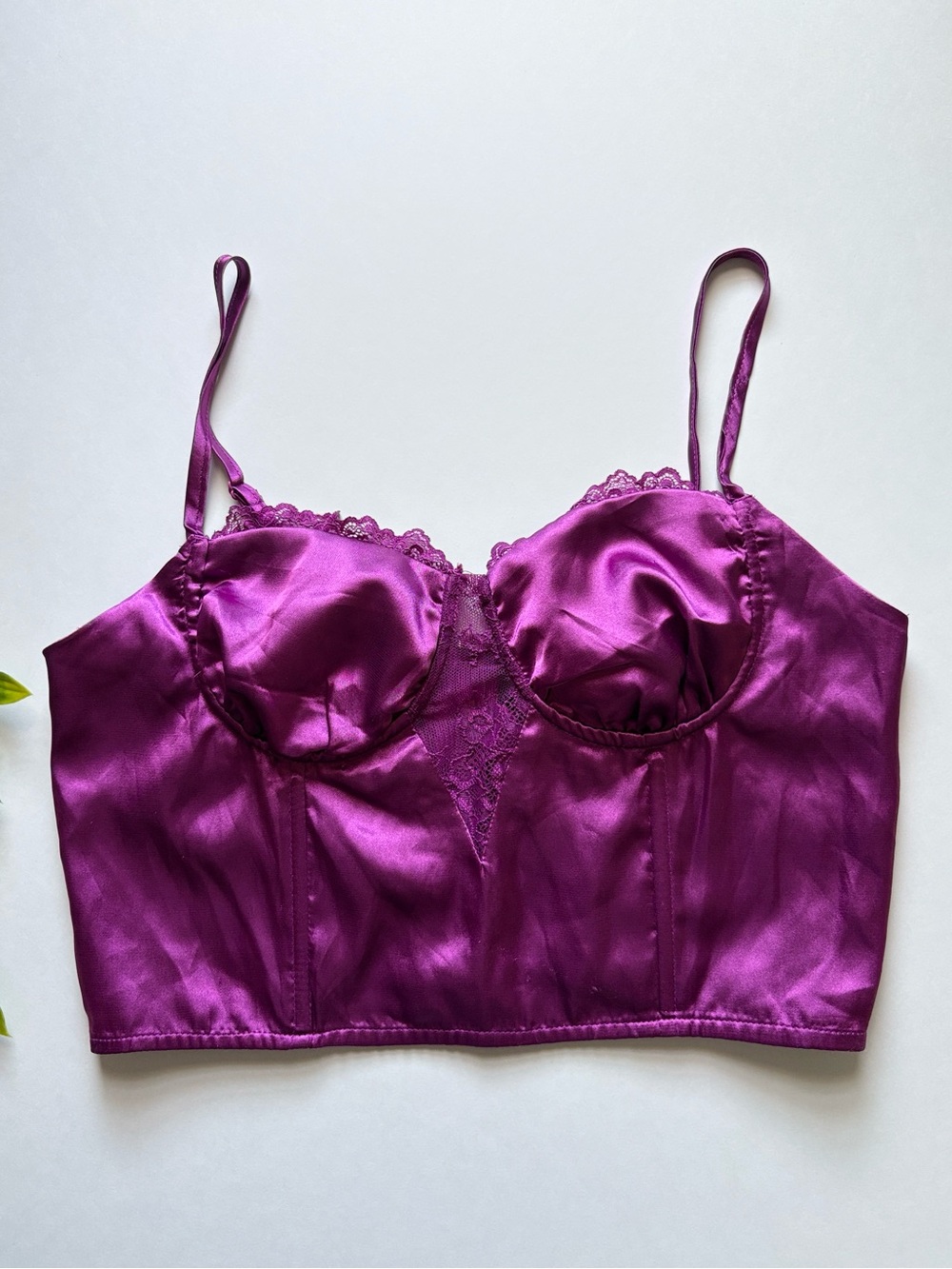 NWOT women’s self esteem purple corset